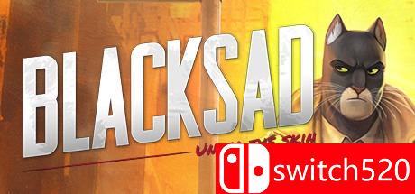 《黑猫侦探：深入本质》游戏封面