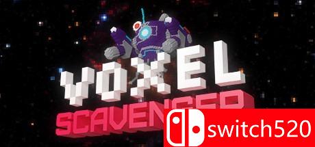 Voxel Scavenger游戏封面