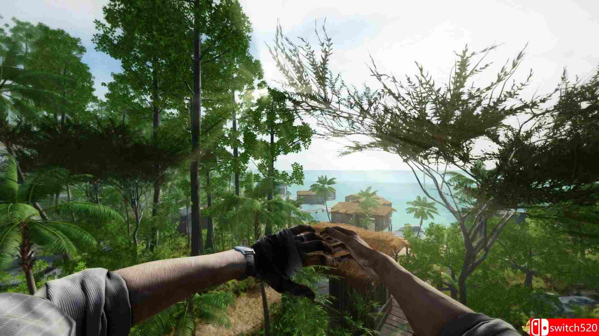 《又一个黎明（Another Dawn）》CODEX镜像版[CN/TW/EN]_1