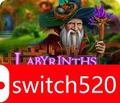 《世界迷宫10：愚者之财》游戏封面图