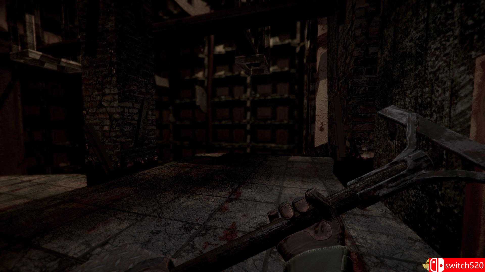 《Samosbor》游戏截图1