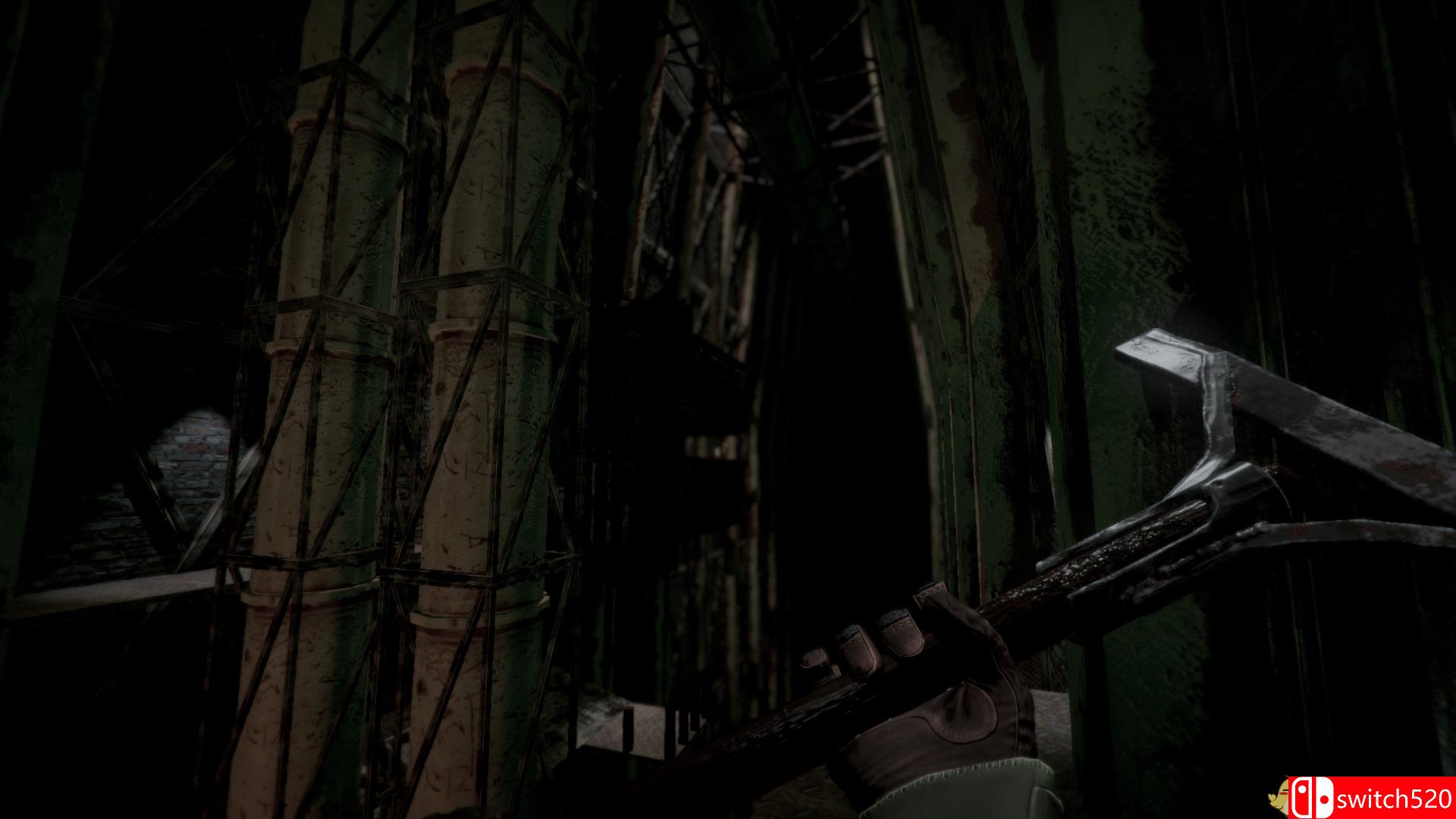 《Samosbor》游戏截图3