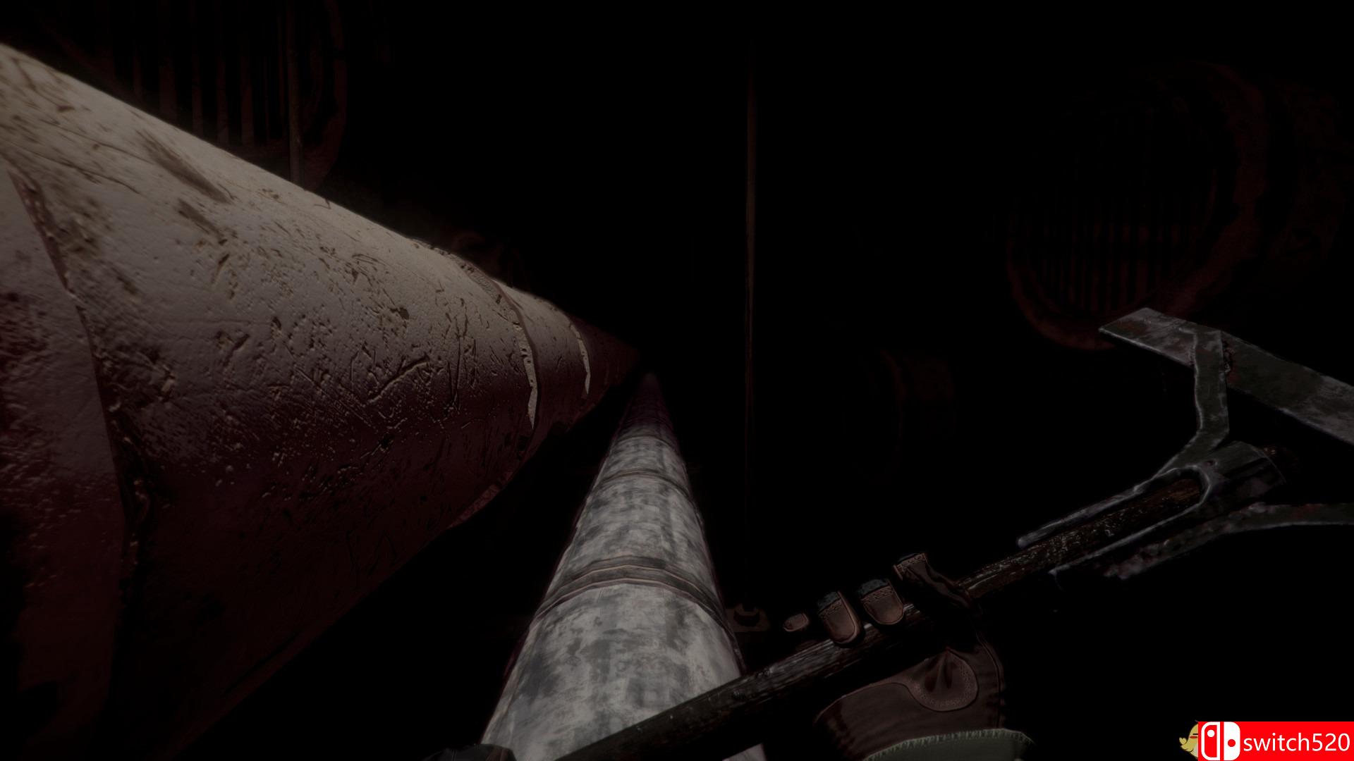 《Samosbor》游戏截图6