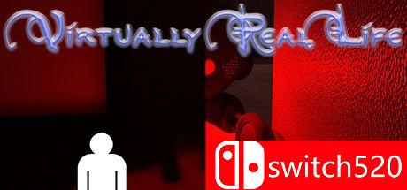《虚拟现实生活（Virtually Real Life）》游戏封面