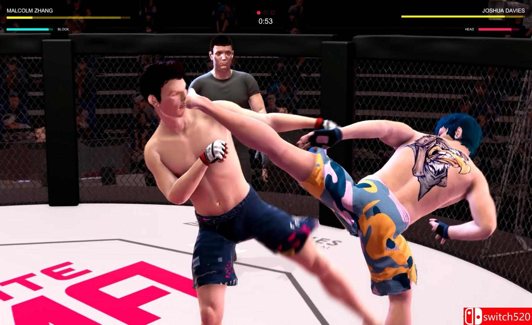 《终极MMA》游戏截图2