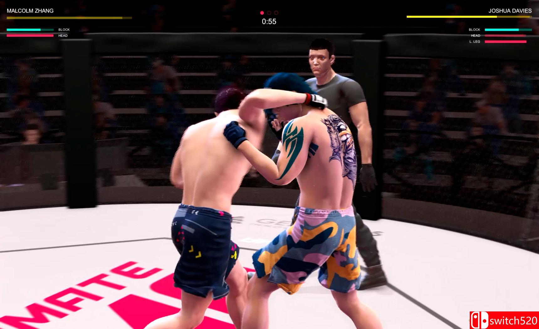 《终极MMA》游戏截图7