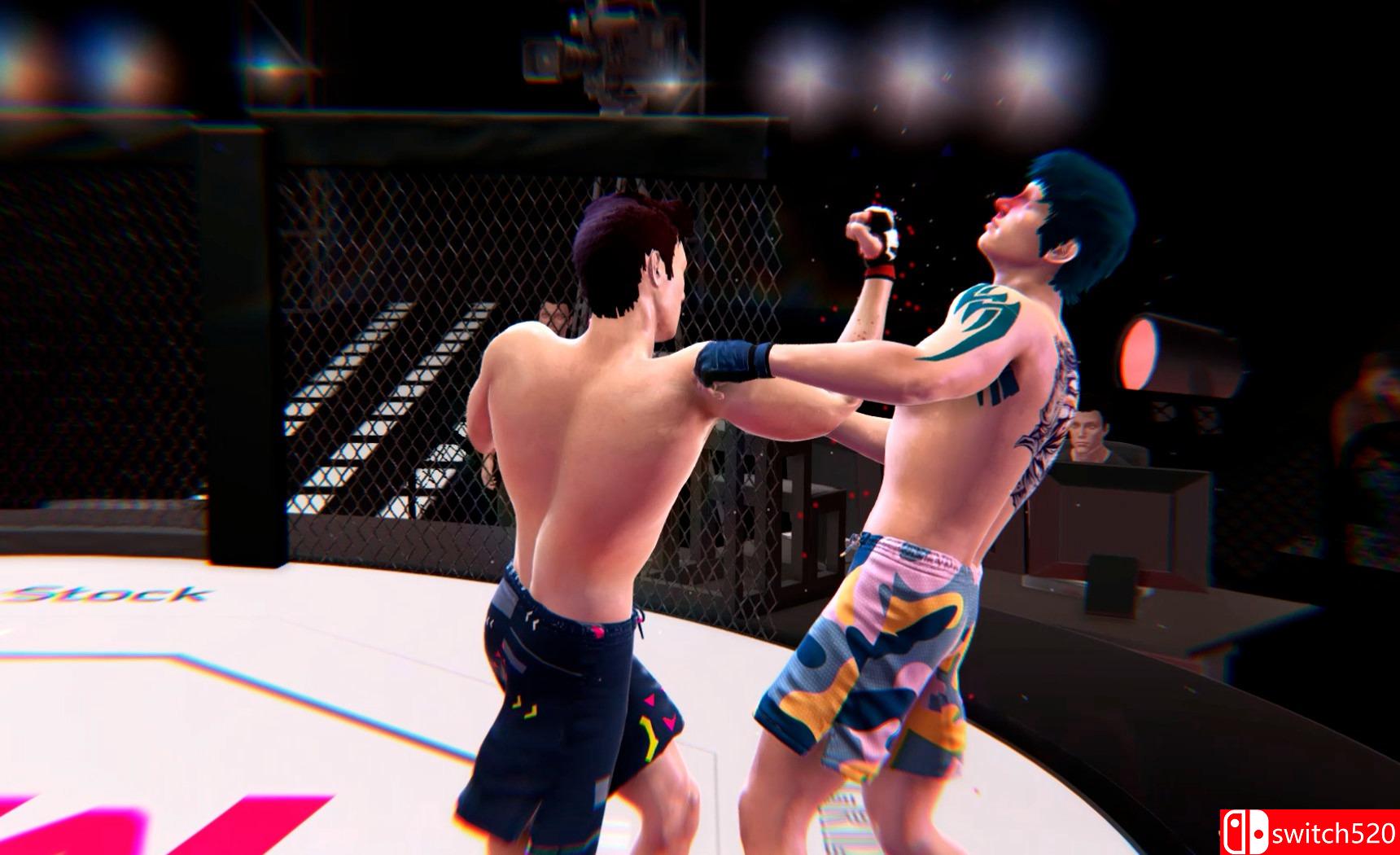 《终极MMA》游戏截图9