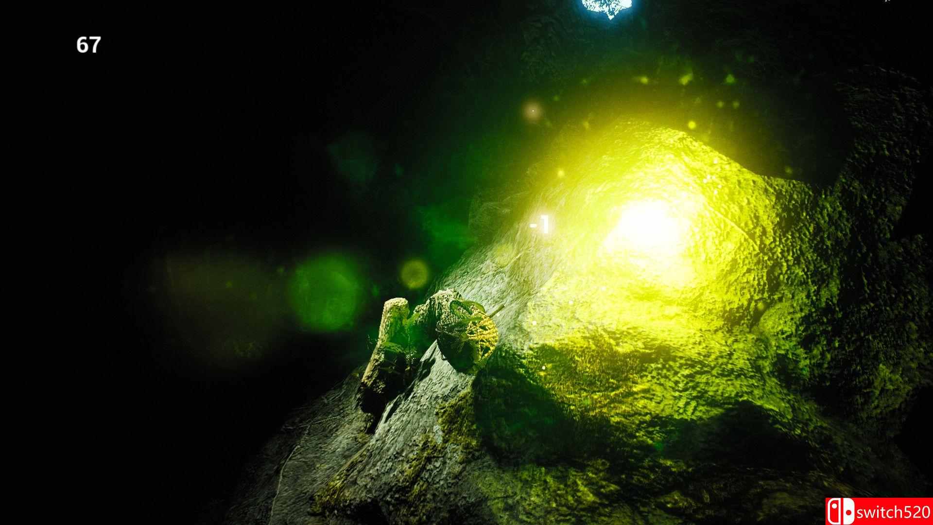 《蜘蛛攀爬者》游戏截图5