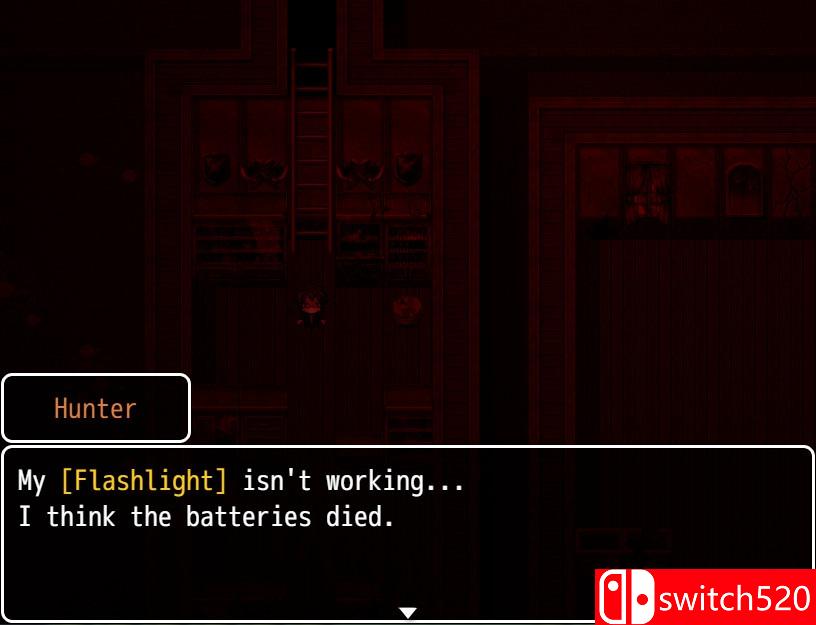 《恐怖之夜》游戏截图4