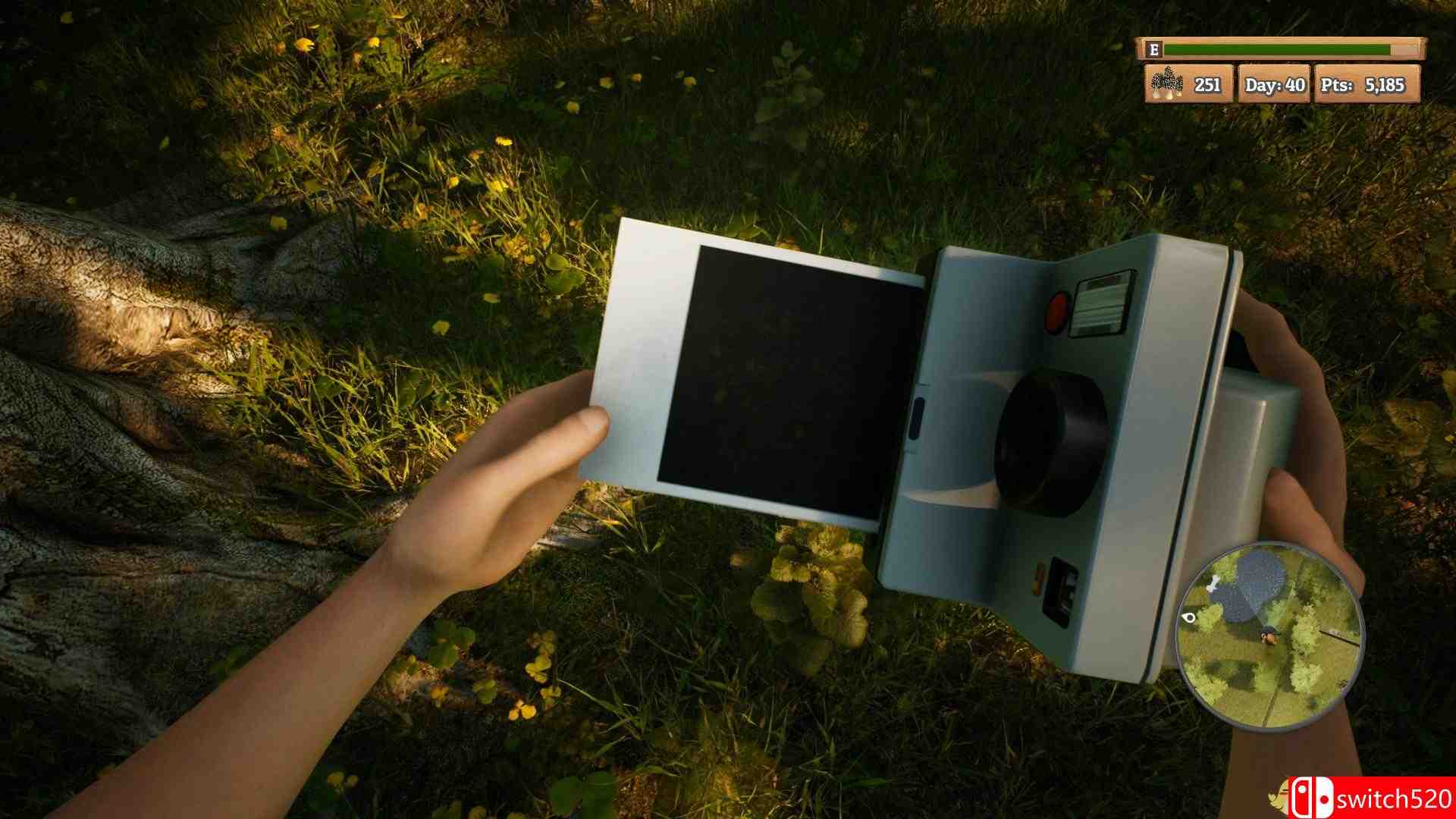 《羊肚菌：狩猎（Morels: The Hunt）》PLAZA镜像版[CN/EN]_4