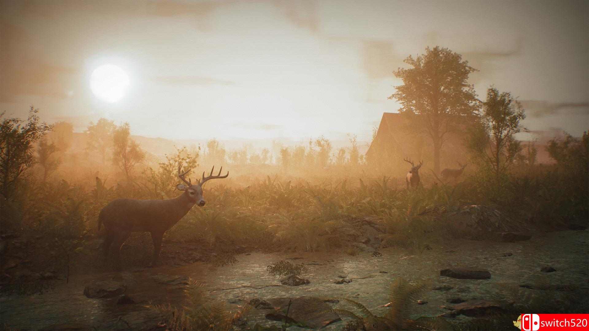 《羊肚菌：狩猎（Morels: The Hunt）》PLAZA镜像版[CN/EN]_6