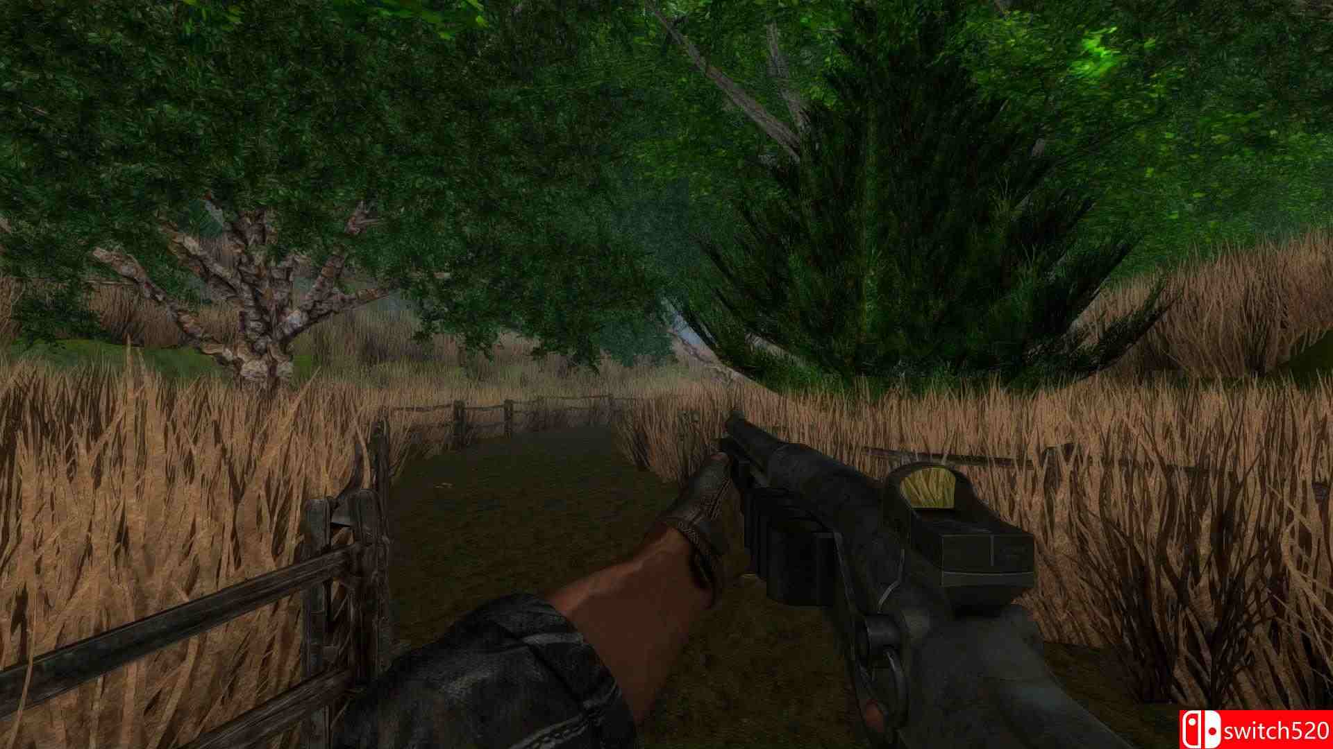 《龙之风暴》游戏截图3