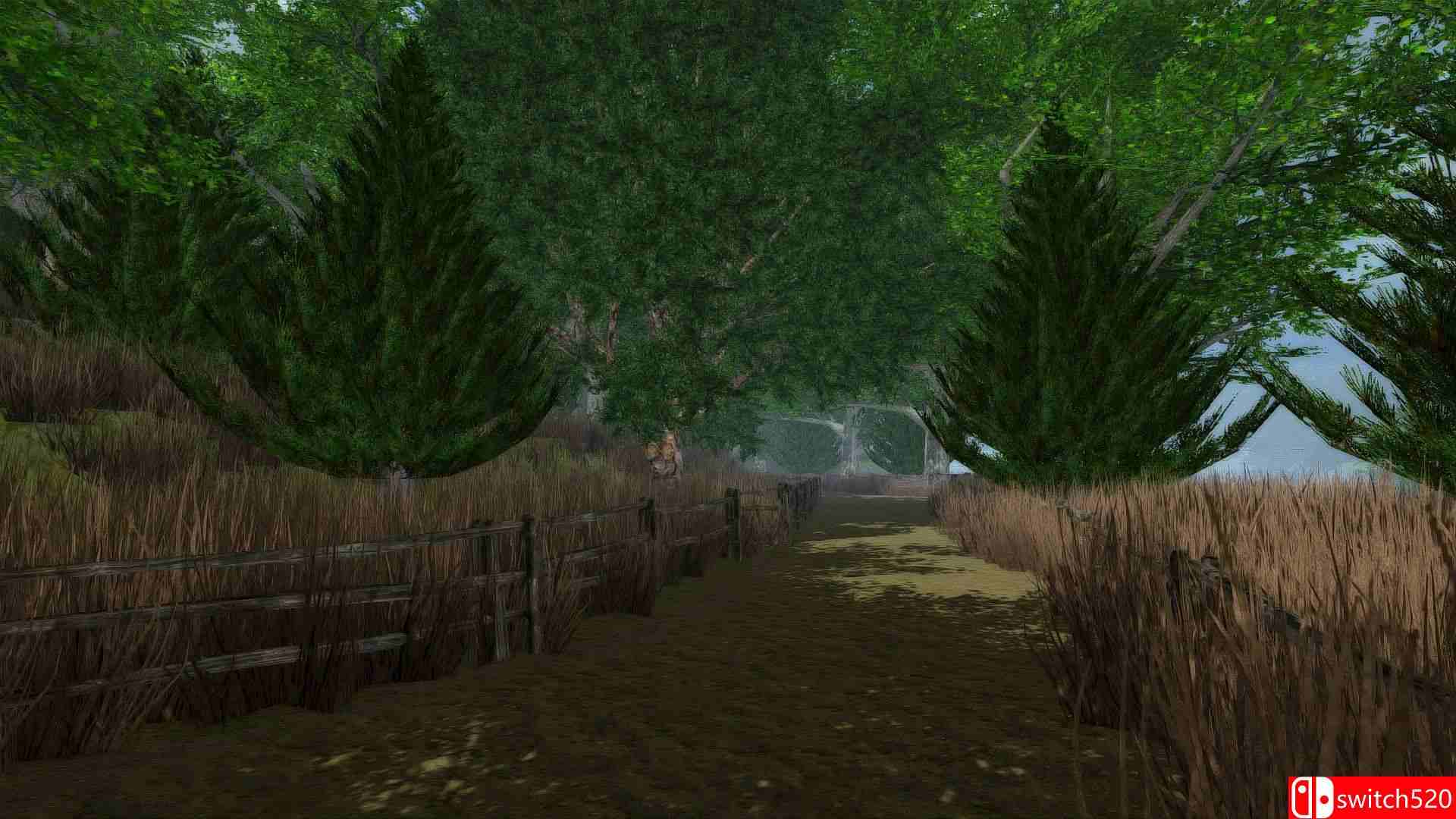 《龙之风暴》游戏截图1