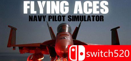 《王牌空军-海军飞行员模拟器》游戏封面