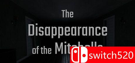 《米切尔夫妇的失踪》游戏封面