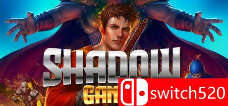 《暗影帮派（Shadow Gangs）》游戏封面