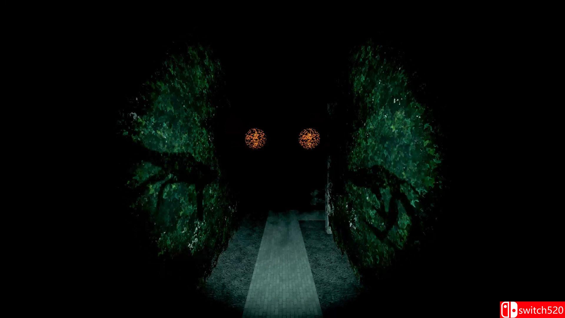 《看镜子》游戏截图1