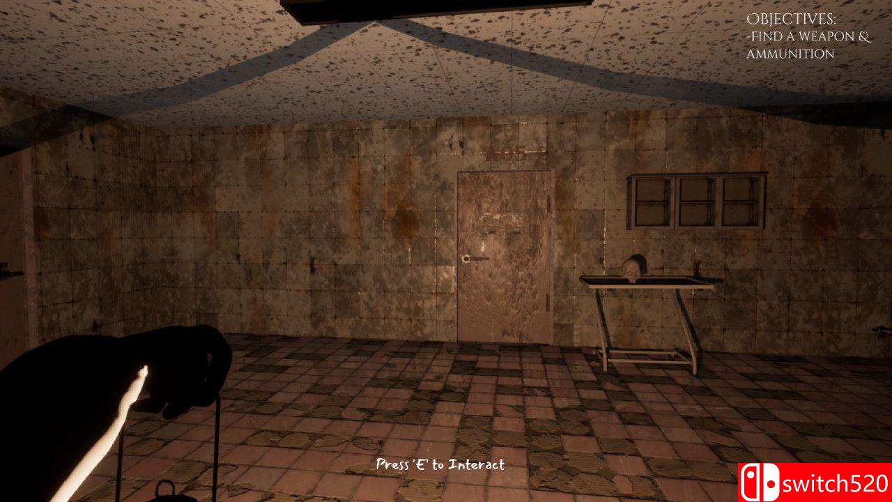 《哈尼菲尔德疯人院（Hanefield Asylum）》SKIDROW镜像版[EN]_3