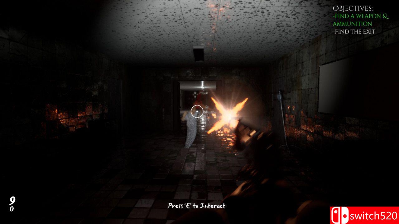 《哈尼菲尔德疯人院（Hanefield Asylum）》SKIDROW镜像版[EN]_4