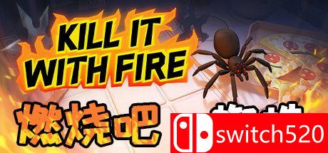 《燃烧吧，蜘蛛（Kill It With Fire）》游戏封面