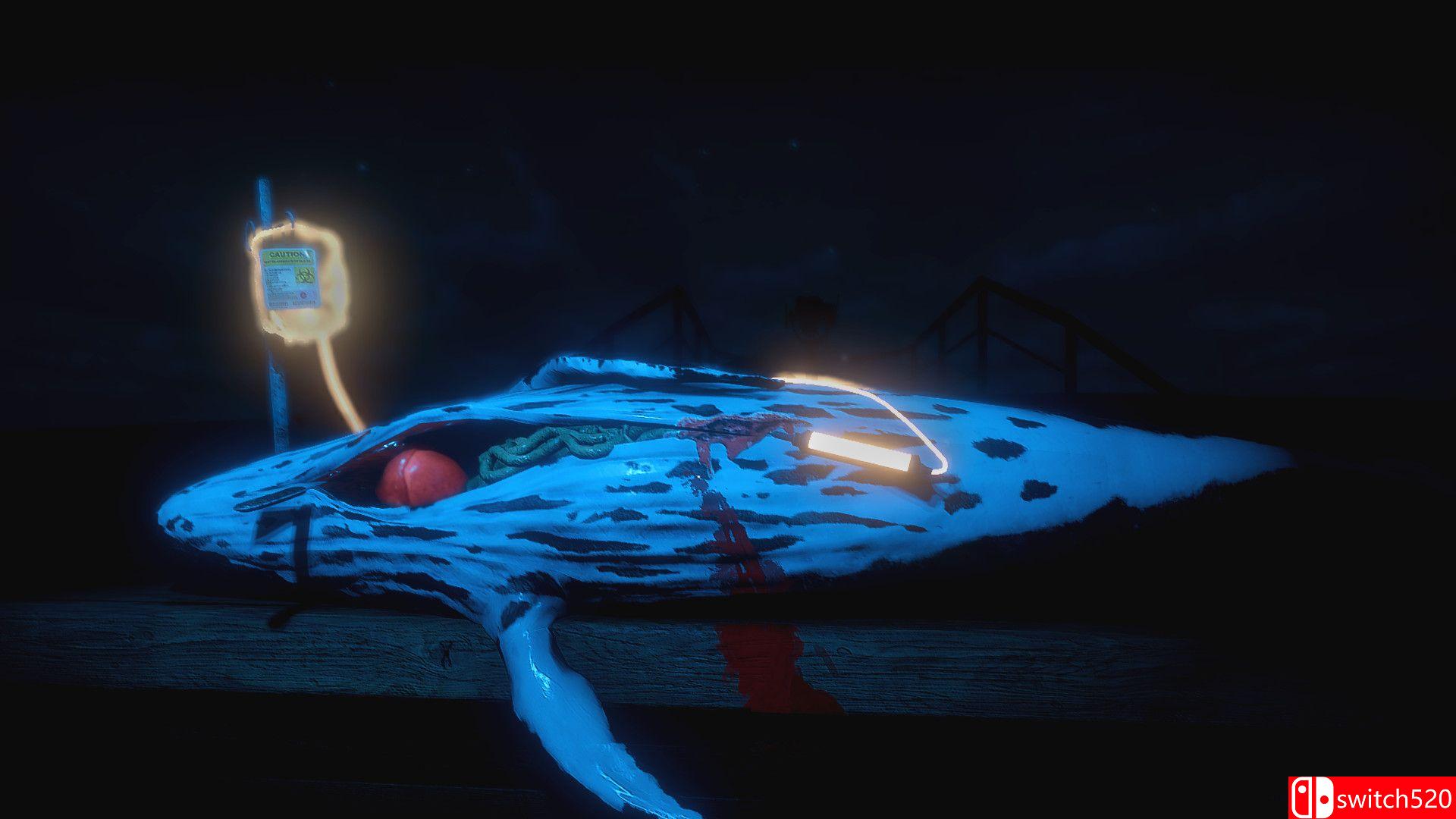 《ZAAM（ZAAM）》HOODLUM镜像版[CN/EN/JP]_1