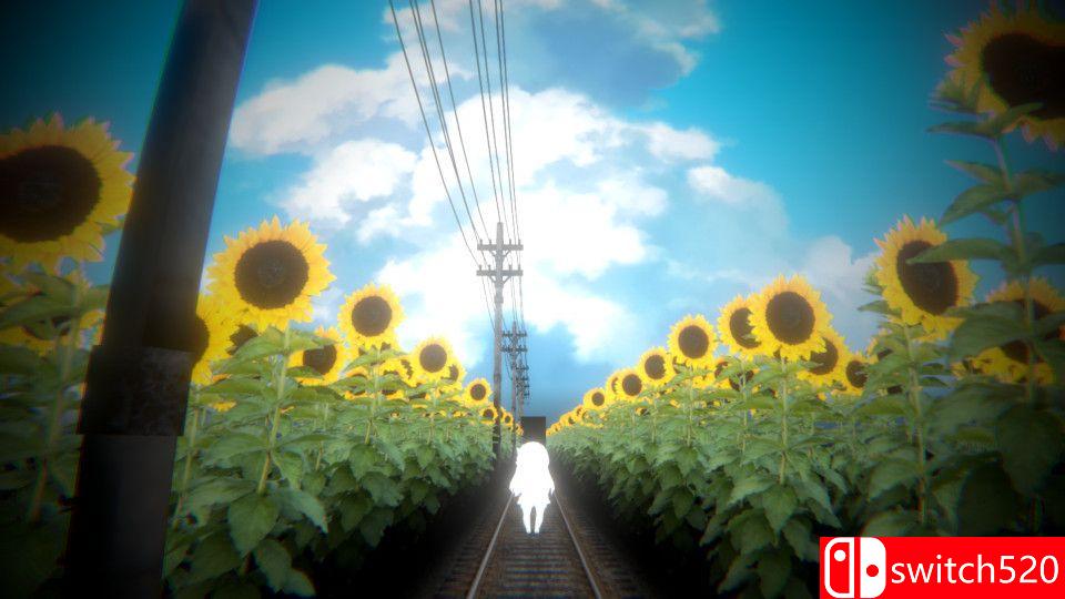 《去年夏天》游戏截图1