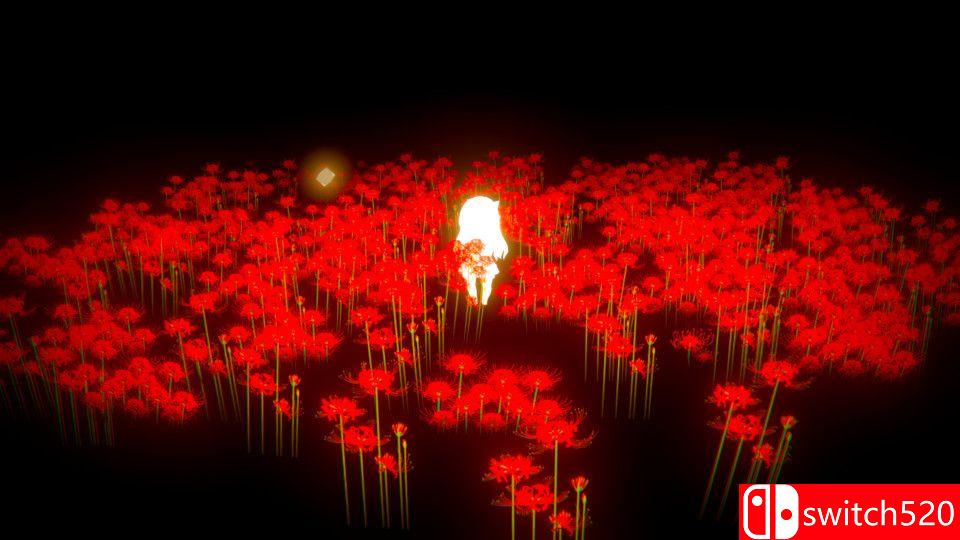 《去年夏天》游戏截图4