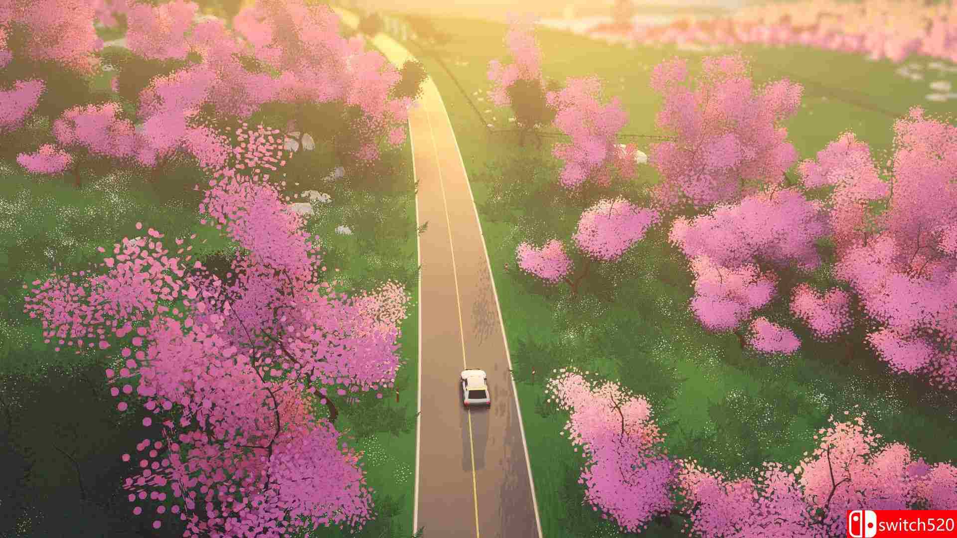 《拉力赛艺术》游戏截图5