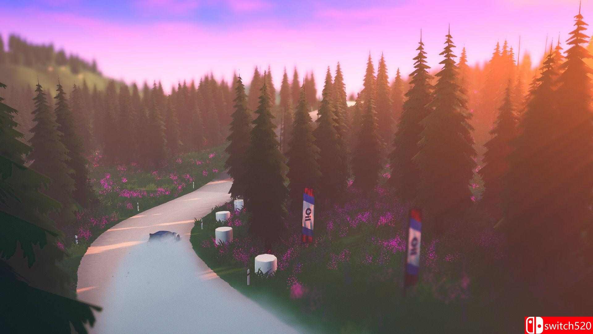 《拉力赛艺术》游戏截图4