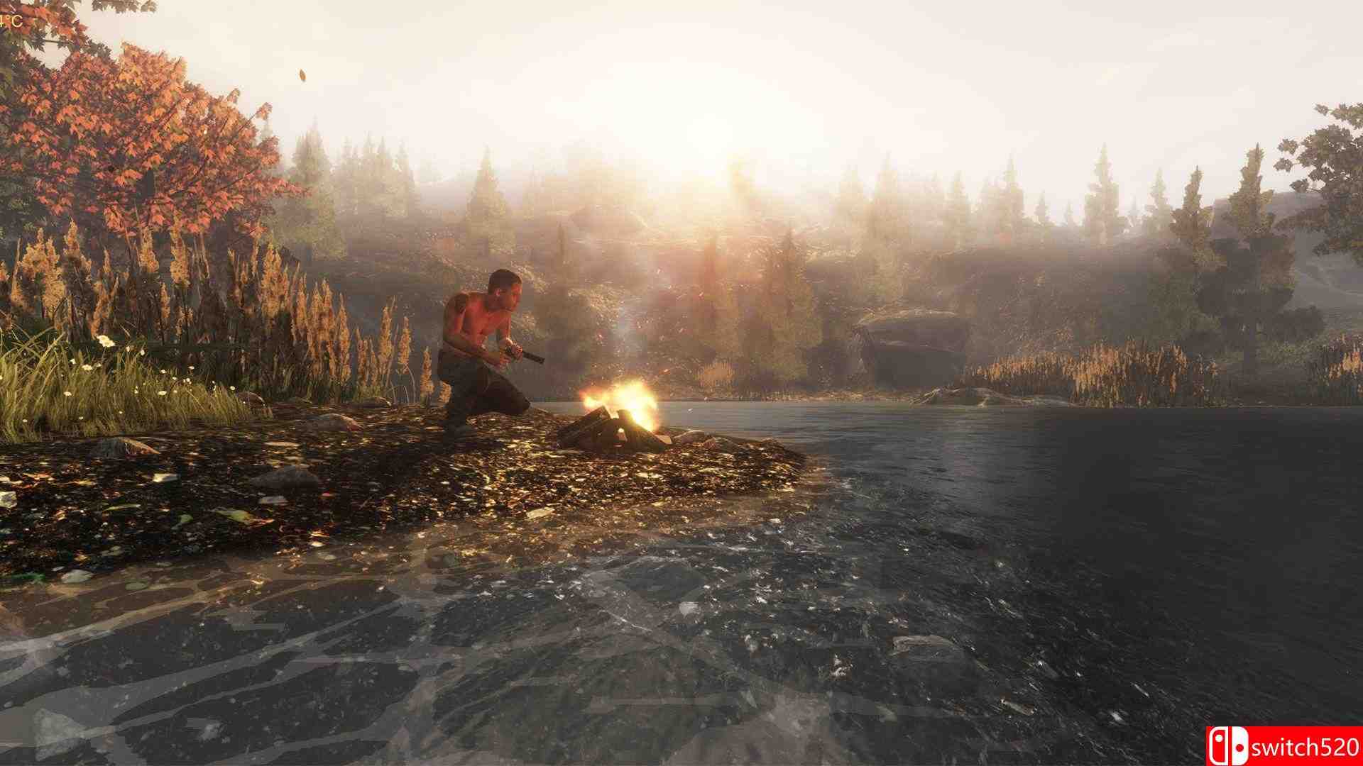 《Subsistence》游戏截图1