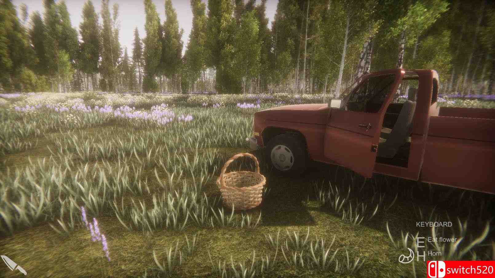 《鲜花挑战赛（Flower Challenge）》官方中文 Build 5589176 Chronos硬盘版[CN/TW/EN/JP]_3