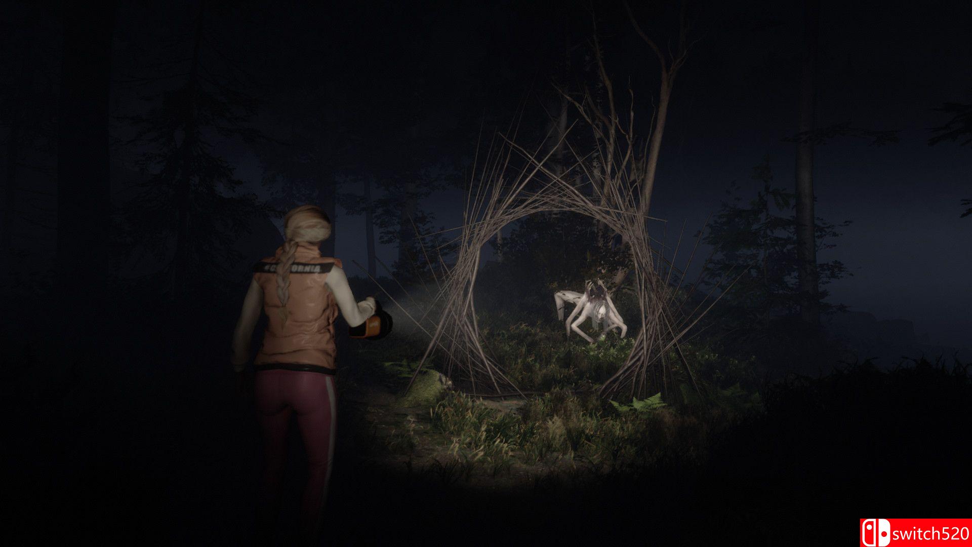 《沉默的迹象》游戏截图1