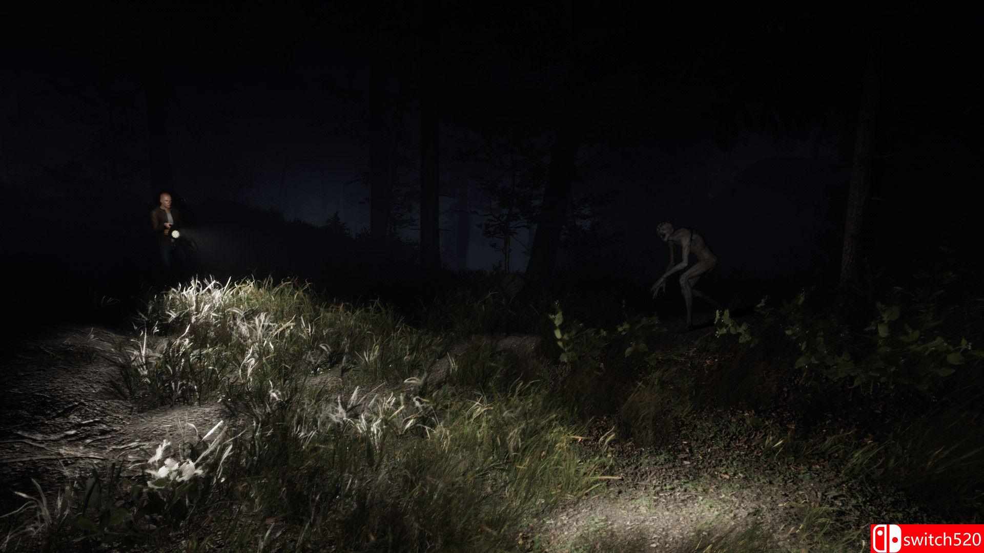 《沉默的迹象》游戏截图3