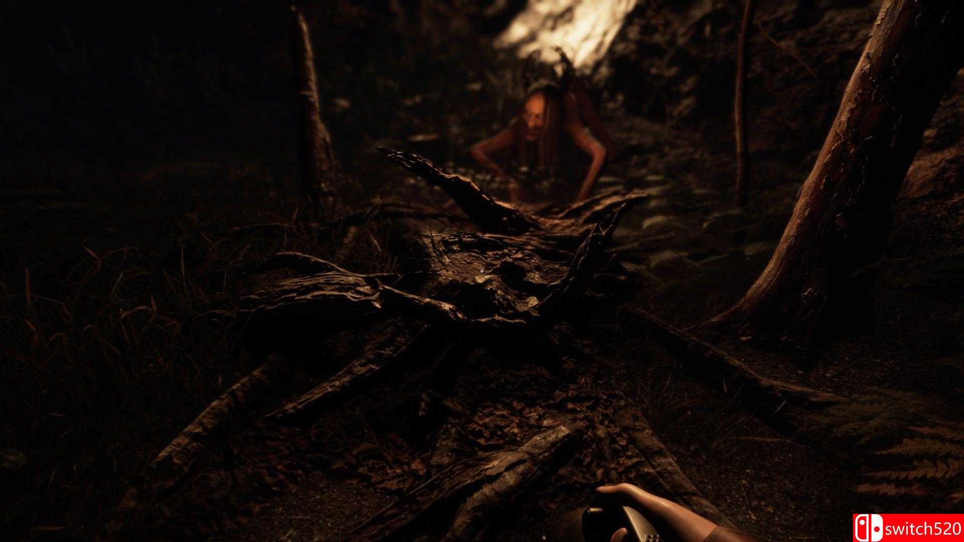 《沉默的迹象》游戏截图2