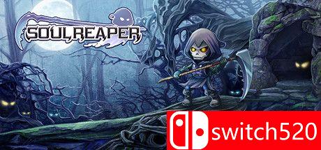 《灵魂收割者（Soul Reaper）》游戏主视觉图