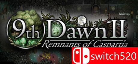 《第九黎明2（9th Dawn II）》游戏主图