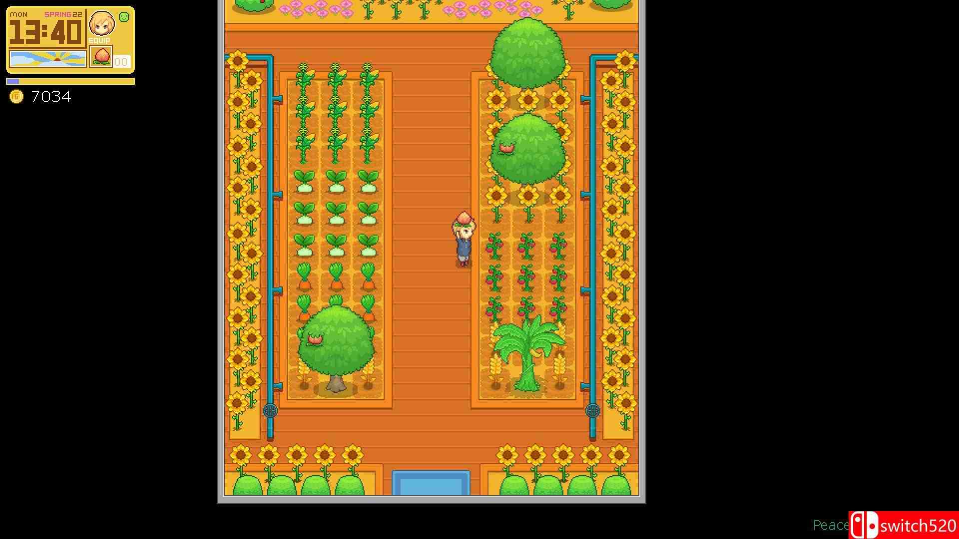 《宁静时光（Peaceful Days）》官方中文 Build 5710330 Chronos硬盘版[CN/TW/EN/JP]_3