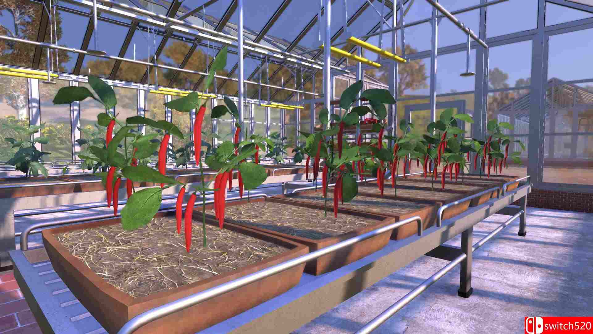 《农民王朝（Farmer's Dynasty）》官方中文 v1.06b I_KnoW镜像版[CN/TW/EN/JP]_3