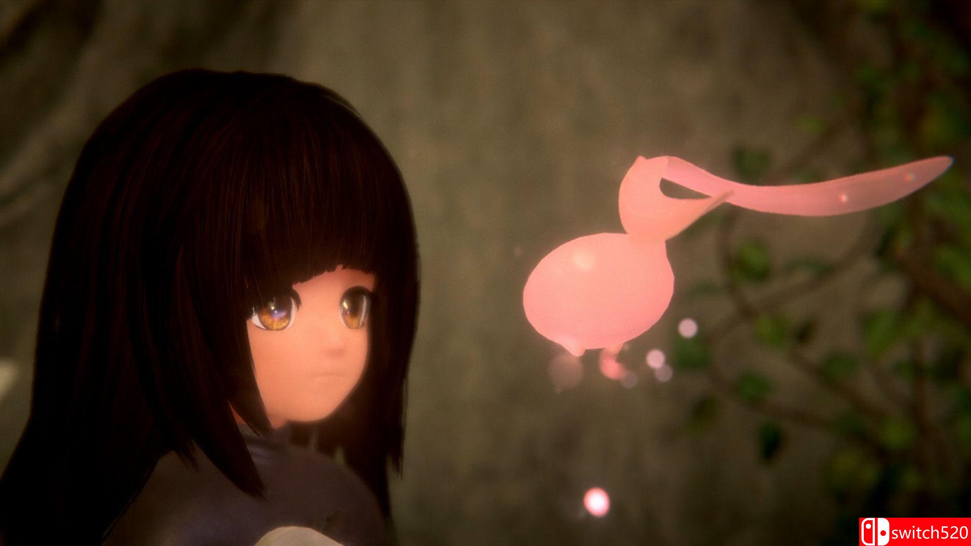 《古树旋律：重生》游戏截图5