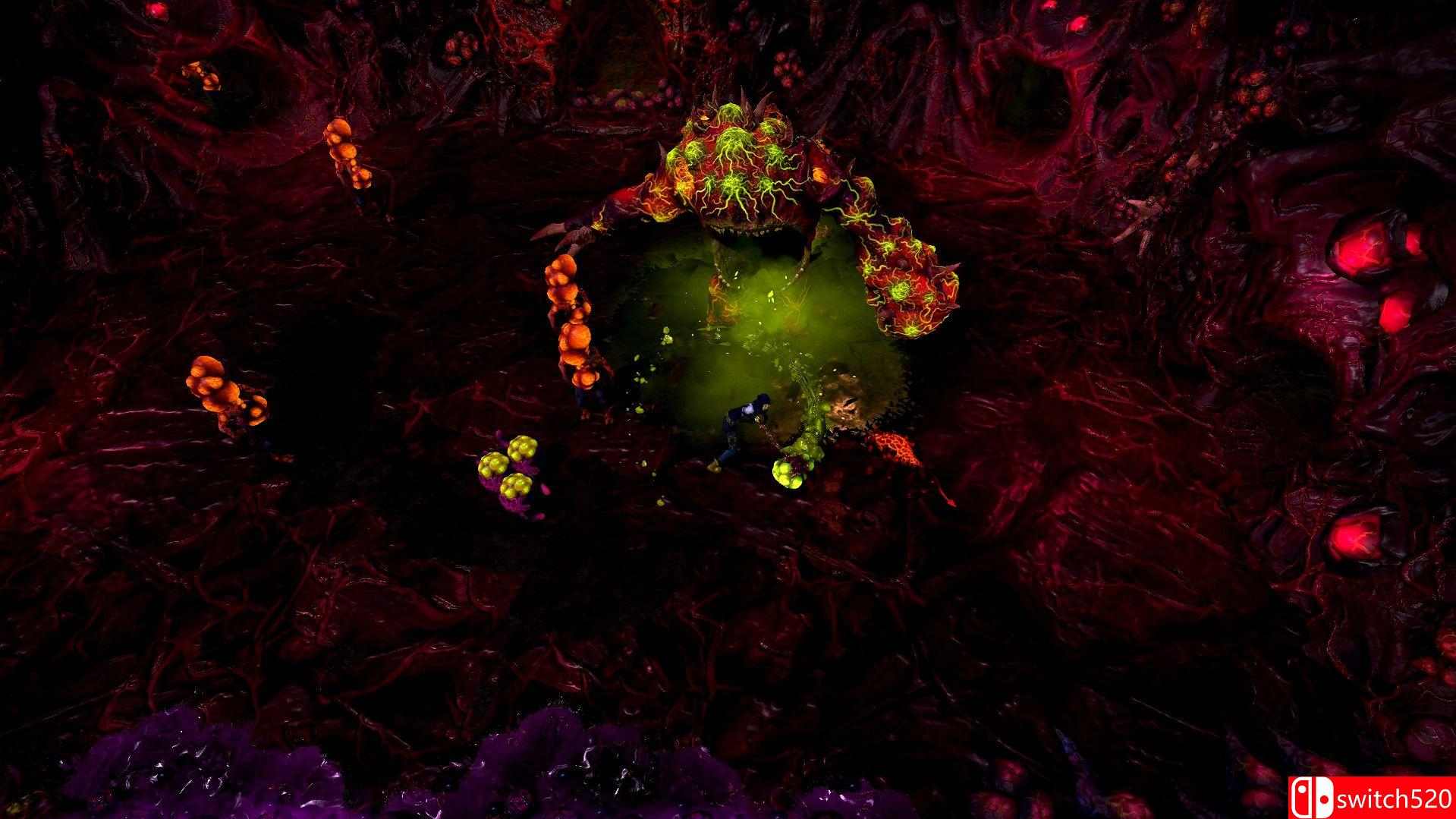 《服从我》游戏截图4