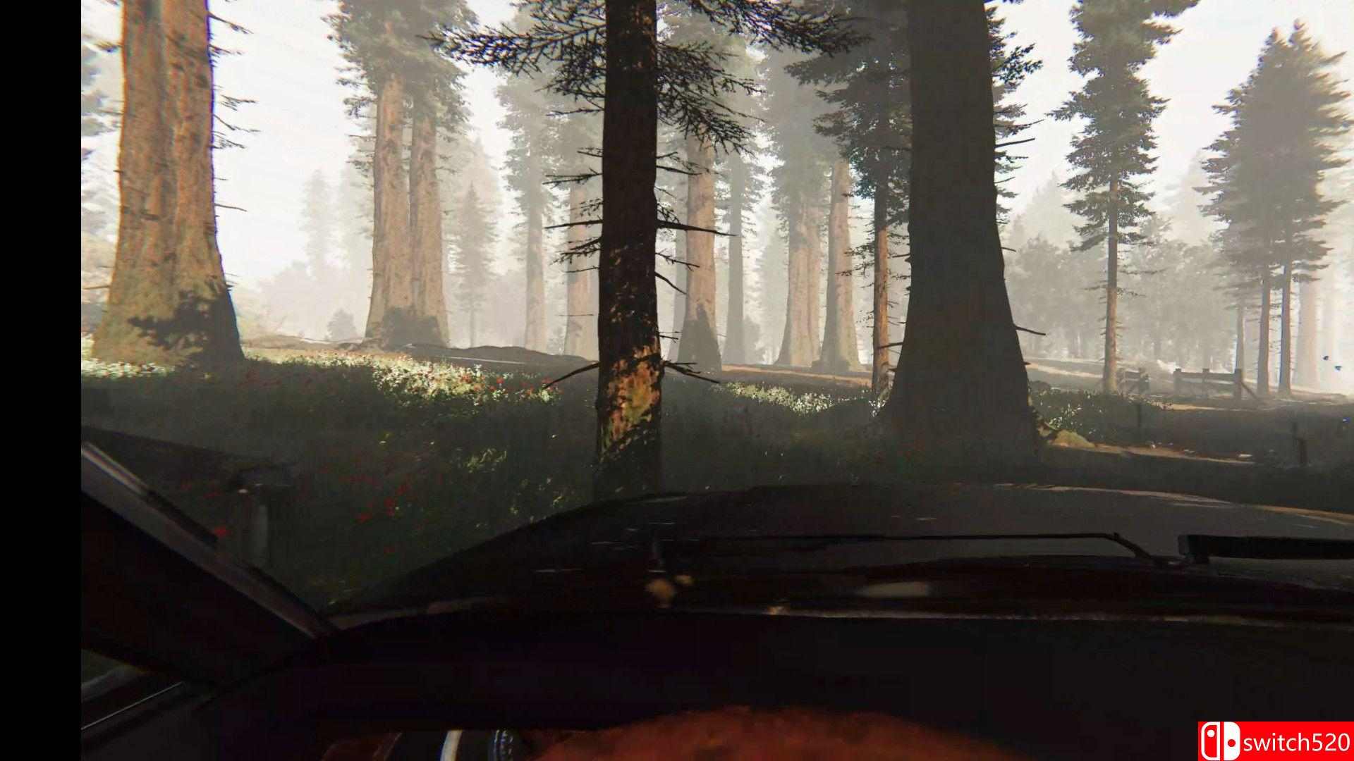 《破碎的记忆》游戏截图3