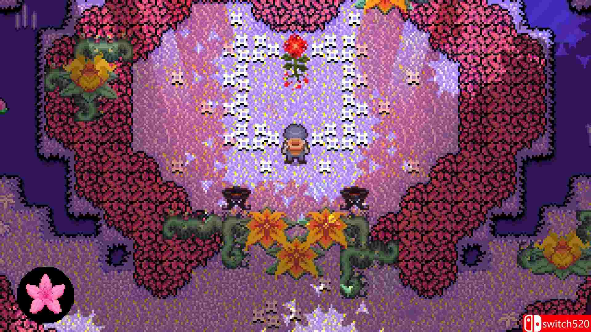 《杜鹃花》游戏截图1