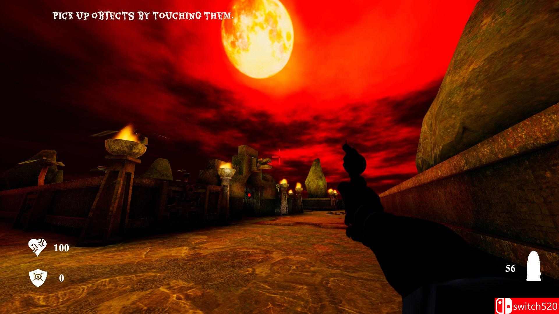 《西瓦尔巴》游戏截图1