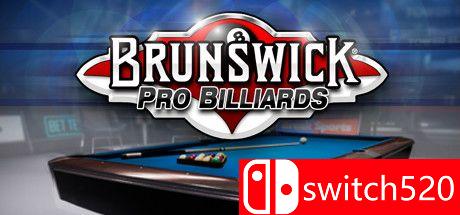 Brunswick职业台球游戏主图