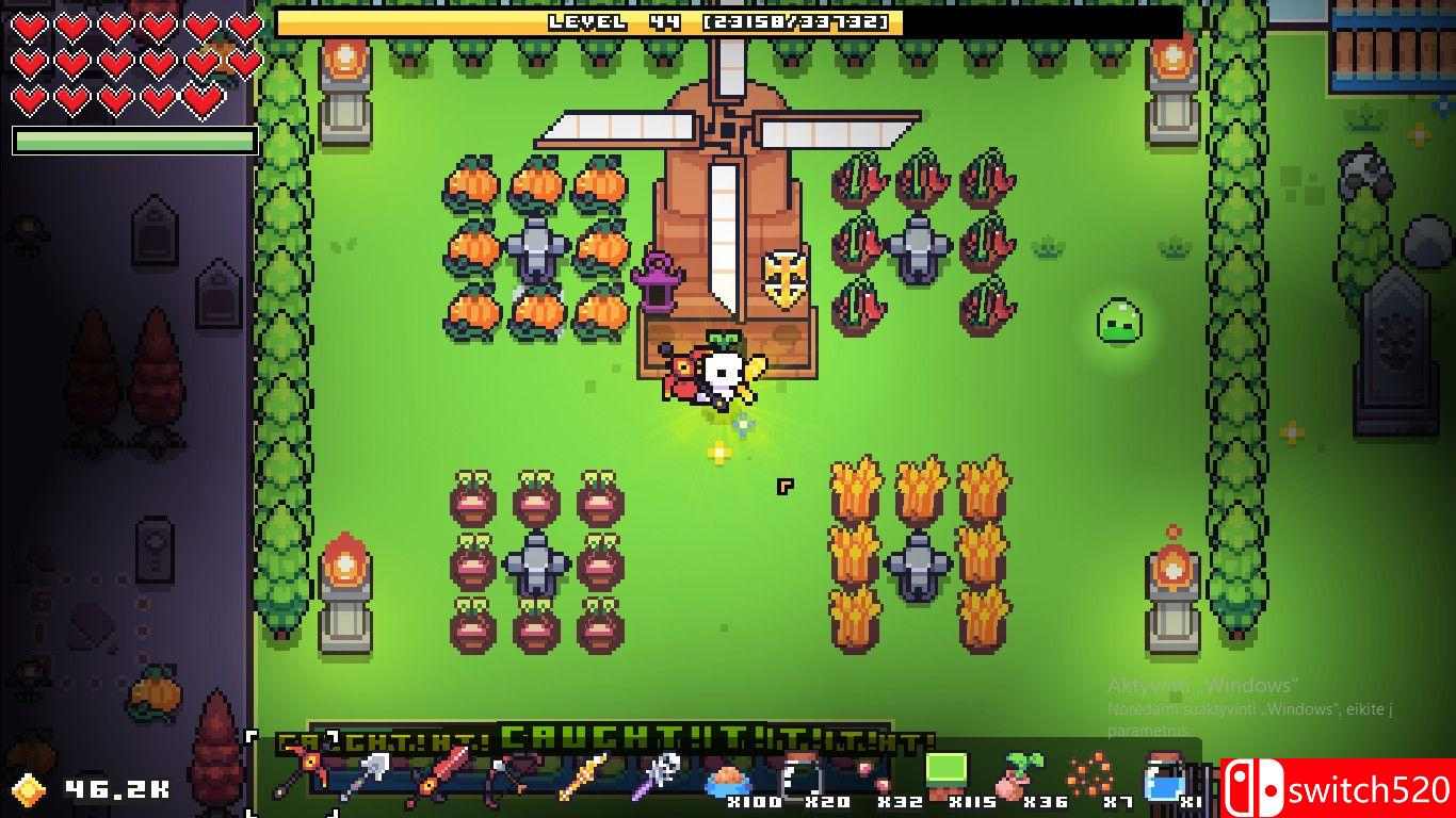 《浮岛物语（Forager）》官方中文 集成Nuclear升级 v4.1.8 rG硬盘版[CN/TW/EN/JP]_2