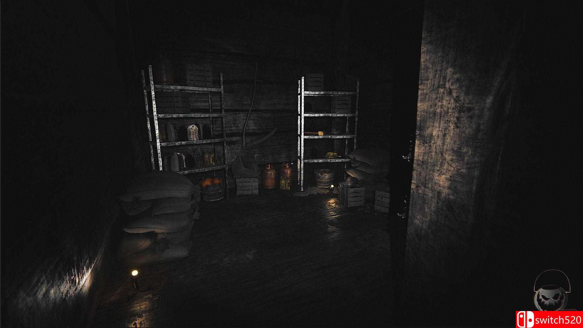 《恐怖球体》游戏截图3