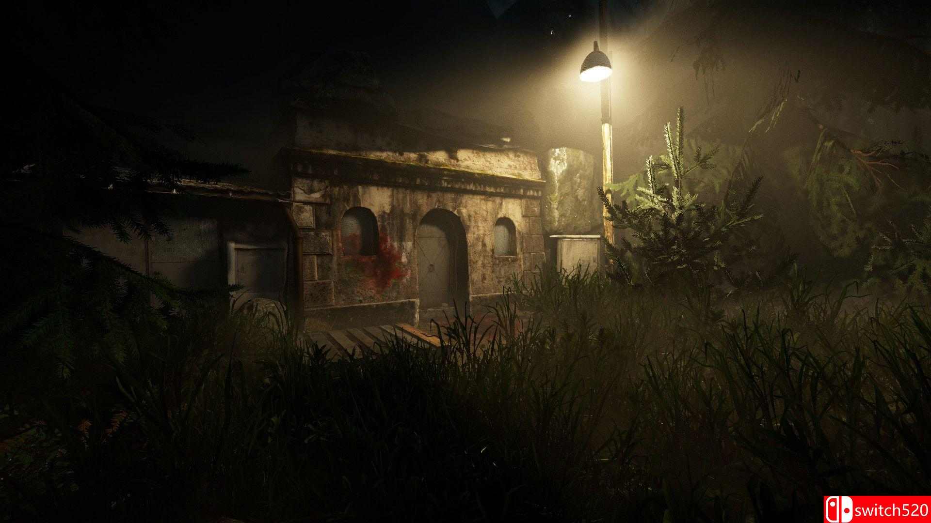 《痛苦之地（The Land of Pain）》游戏截图4