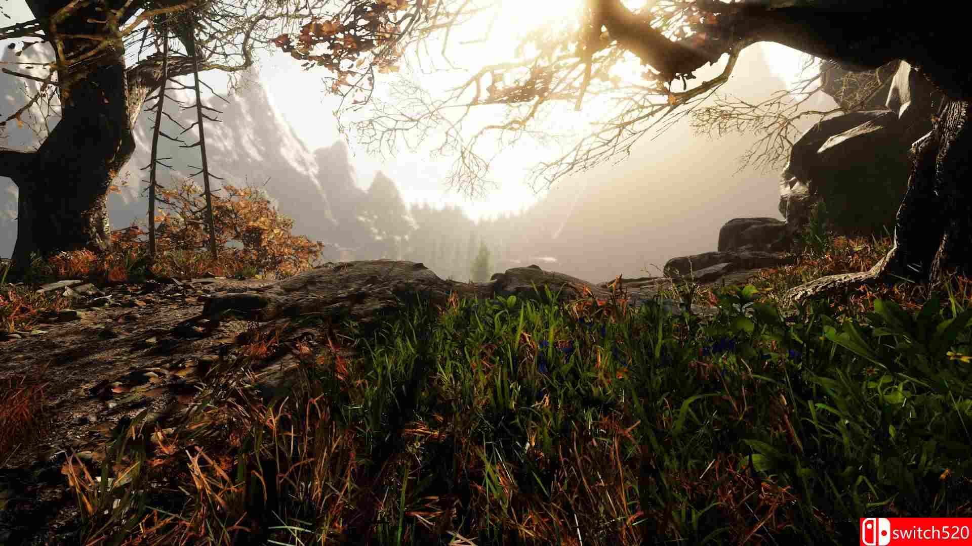 《痛苦之地（The Land of Pain）》游戏截图1