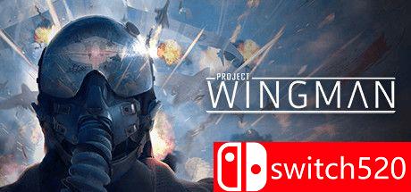 《僚机计划（Project Wingman）》游戏主视觉图