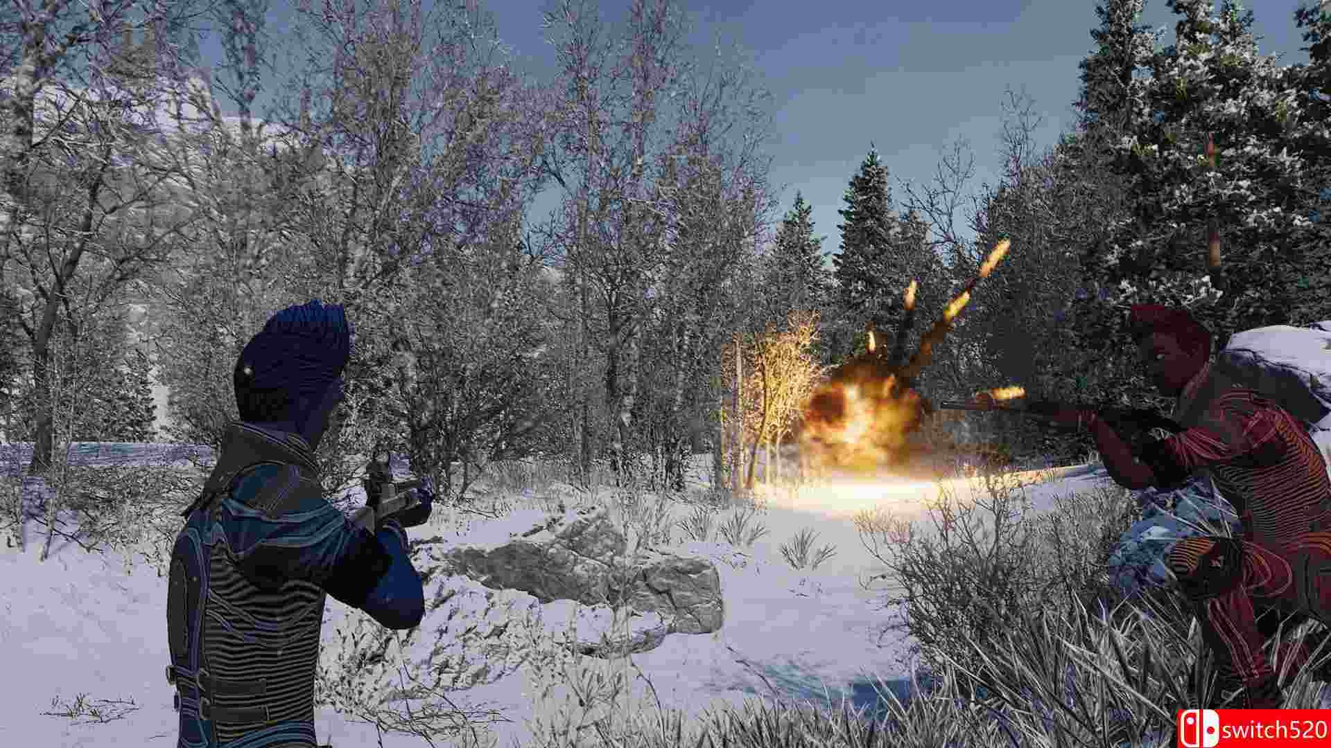 《幽灵之冬（GHOSTWINTER）》SKIDROW镜像版[EN]_3